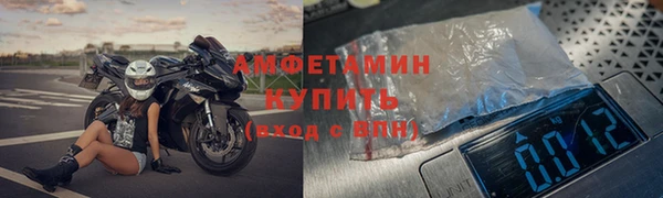 шишки Покачи
