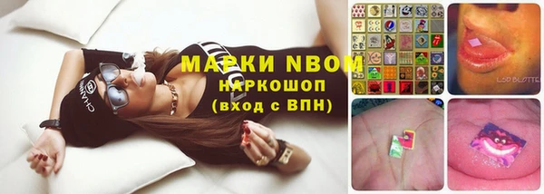 ГАЛЛЮЦИНОГЕННЫЕ ГРИБЫ Медногорск