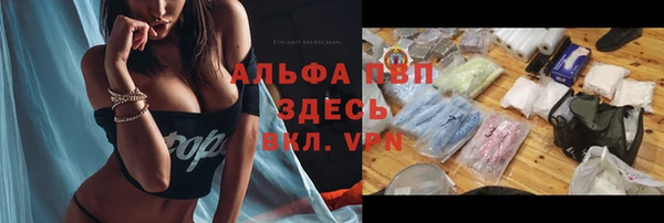 гидра Мегион