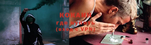 шишки Покачи