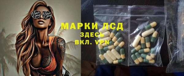 гашик Покровск
