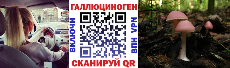 Галлюциногенные грибы MAGIC MUSHROOMS  где найти   Энем 